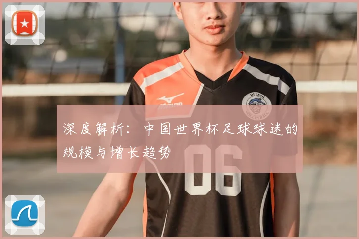 深度解析:中国世界杯足球球迷的规模与增长趋势
