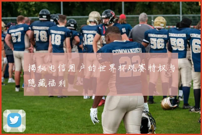 揭秘电信用户的世界杯观赛特权与隐藏福利