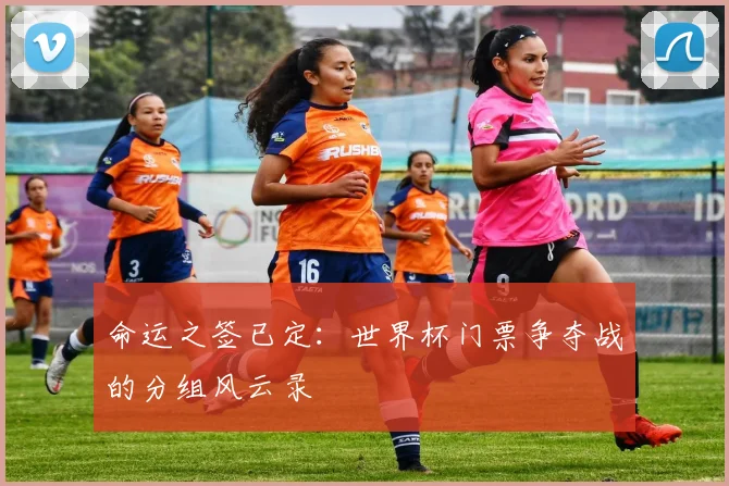 命运之签已定:世界杯门票争夺战的分组风云录