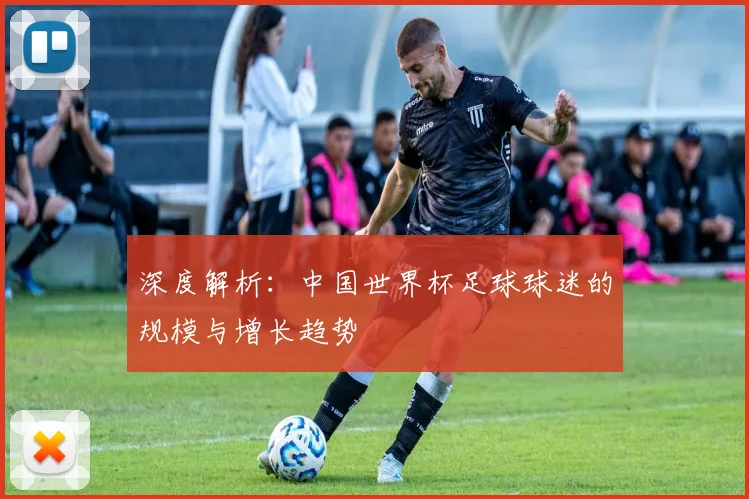 深度解析:中国世界杯足球球迷的规模与增长趋势